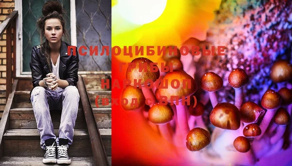 винт Алексин