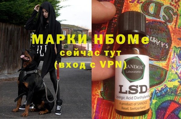 винт Алексин