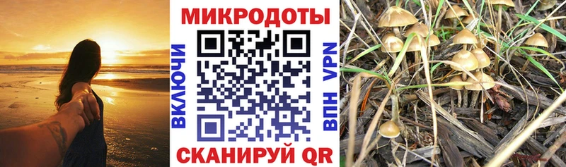 продажа наркотиков  Серов  mega как войти  Галлюциногенные грибы ЛСД 