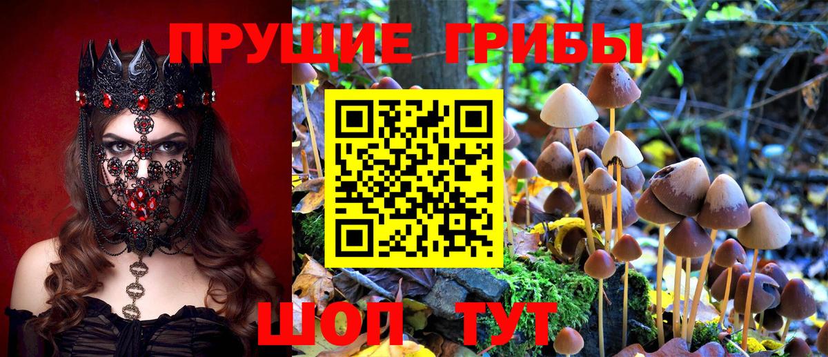 Галлюциногенные грибы прущие грибы  Вход с VPN  Псилоцибиновые грибы Magic Shrooms  Серов 