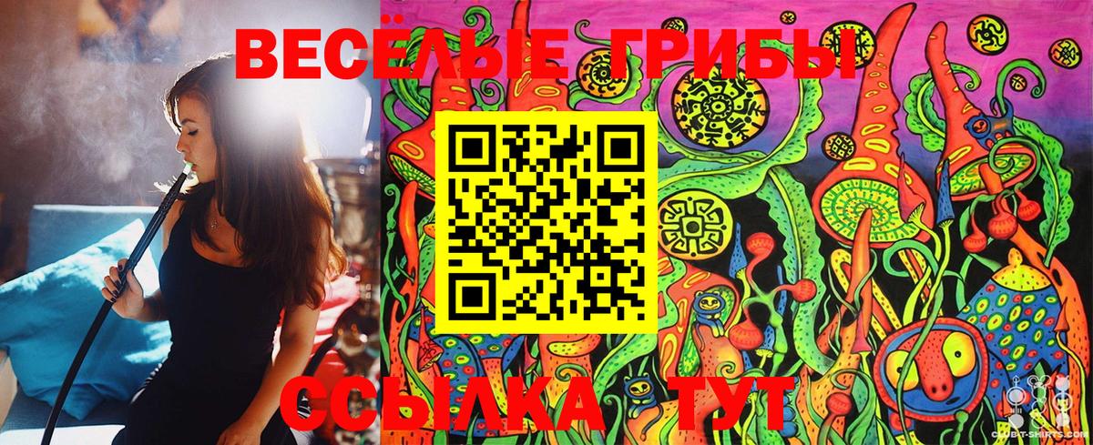 Псилоцибиновые грибы мицелий Серов